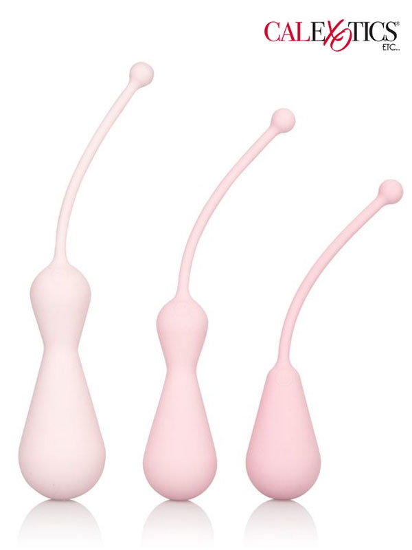 calexotics-inspire-kegel-training-kit-2 Kegel Seti - Görsel 1