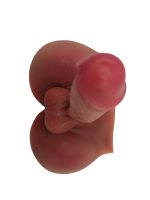 Afrodit Shop Gerçekçi Yarım Vücut Dildo Mastürbatör 19 CM - Görsel 4