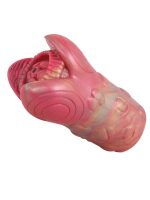 Afrodit Shop Yaratık Şeklinde Vajina Mastürbatörü Model no: G6133 - Görsel 3