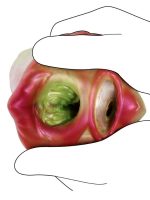 Afrodit Shop Yaratık Şeklinde Vajina Mastürbatörü Model no: G6178 - Görsel 4