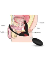 Penis Halkalı Prostat Şarjlı Uzaktan Kumandalı Anal Vibratör - Görsel 5
