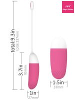 Telefon Kontrollü Vini Vibratör - Görsel 2