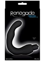 Anal Prostat - Görsel 2