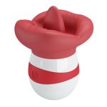 10 Fonksiyonlu USB Şarjlı Klitoris Dil Uyarıcılı Teknolojik Vibratör - Mina - Görsel 3