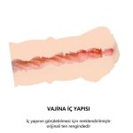 3 Boyutlu Suni Vajina Mastürbatör - Görsel 5
