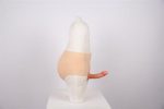 Giyilebilir Realistik 15 cm Penis - Görsel 3