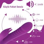USB Şarjlı 10 Fonksiyonlu Klitoris Uyarıcılı Teknolojik Vibratör - Görsel 4
