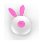 USB Şarjlı Uzaktan Kumandalı 12 Titreşimli Zevk Yumurtası - Görsel 4