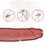 Yeni Nesil Büyük Boy 28,9 cm Realistik Dildo Penis - Görsel 5