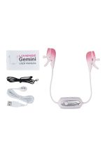 Lovense Gemini APP - Görsel 5