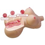 3 Boyutlu İki İşlevli Yarım Vücut Anal Vajinal Silikon Seksi Manken - Diana - Görsel 7