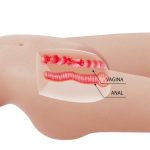 3 Boyutlu İki İşlevli Yarım Vücut Anal Vajinal Silikon Seksi Manken - Mia - Görsel 7
