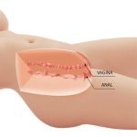 3 Boyutlu İki İşlevli Yarım Vücut Anal Vajinal Silikon Seksi Manken - Tiffany - Görsel 7