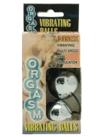 Vajinal Anal Titreşimli Orgazm Topu 2'li - Görsel 2